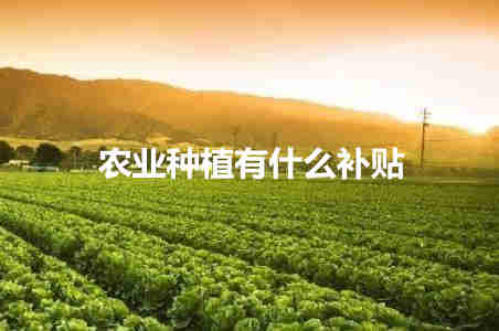 農(nóng)業(yè)種植有什么補(bǔ)貼 農(nóng)業(yè)種植補(bǔ)貼都有哪些