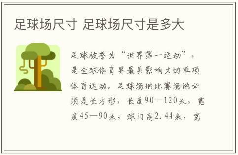 足球場尺寸 足球場尺寸是多大