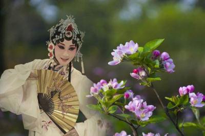 淮海戲是哪個(gè)地方的劇種 淮海戲是哪個(gè)地方的劇種