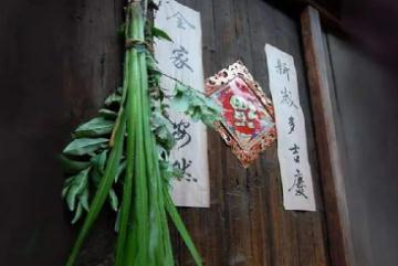 端午節(jié)插艾草的來(lái)歷(端午節(jié)插艾草的由來(lái))