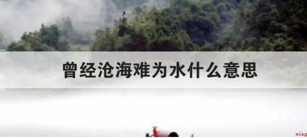 曾經(jīng)滄海難為水什么意思  曾經(jīng)滄海難為水什么意思出自哪里