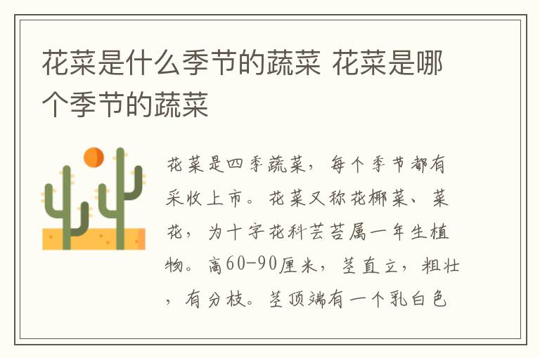 花菜是什么季節(jié)的蔬菜 花菜是哪個季節(jié)的蔬菜