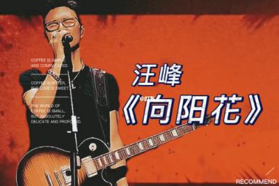 汪峰的《向陽花》 歌詞 