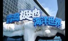 青島極地海洋世界門(mén)票多少錢一張