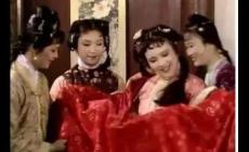 《紅樓夢(mèng)》中薛寶琴是誰(shuí)？薛寶琴的結(jié)局如何？