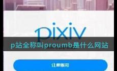 p站網址是什么？pubhorn的官網地址是多少？