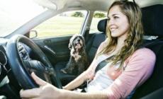 汽車上的set是什么意思（汽車上的sET是干什么用的）