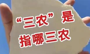 <a href=/sannong/4acbb44c859fc9e9ace183bf0a790553.html target=_blank class=infotextkey>三農</a>是什么意思？<a href=/sannong/4acbb44c859fc9e9ace183bf0a790553.html target=_blank class=infotextkey>三農</a>指的是什么意思?