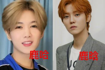 鹿哈真的月入500萬(wàn)嗎？鹿哈憑啥走紅？