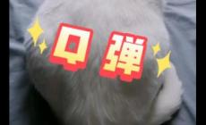q彈的意思,q彈是什么意思網(wǎng)絡(luò)詞,q彈這個(gè)詞怎么來(lái)