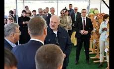 盧卡申科:我要帶土豆去中國