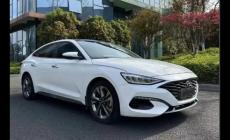 菲斯塔和伊蘭特是一個檔次嗎 菲斯塔和伊蘭特有什么區別