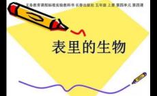 表里的生物寫于哪一年 表里的生物是幾幾年寫的