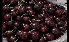 車厘子什么季節(jié)成熟 車厘子是在什么季節(jié)成熟的