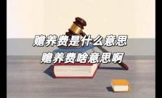 贍養費是什么意思 贍養費啥意思啊