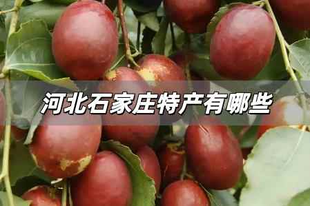 河北石家莊特產有哪些土特產,石家莊的特產有哪些土特產?