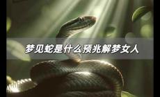 夢見蛇是什么預兆解夢女人 夢見蛇是什么預兆解夢女生