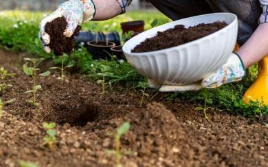 如何改善發硬的土壤問題_如何改善發硬的土壤問題呢