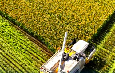 鄉村振興的英語怎么說 鄉村振興用英語怎么說