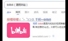 bilibili官網網頁入口是什么 bilibili官網網頁入口介紹