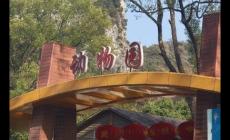 柳州動物園值得去嗎 柳州動物園好玩嗎